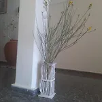 Apartament Panagioula *