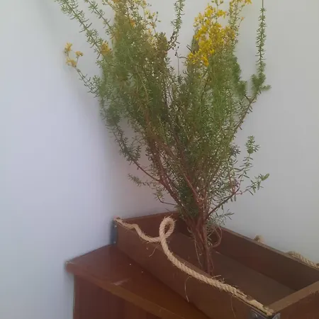 Panagioula Appartement