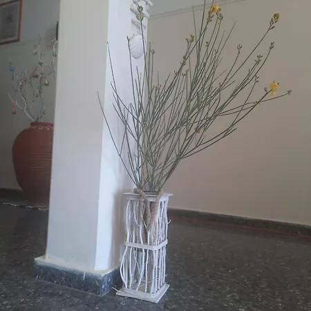 شقة Panagioula *