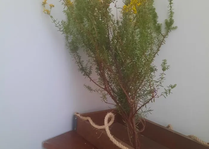 Panagioula Διαμέρισμα